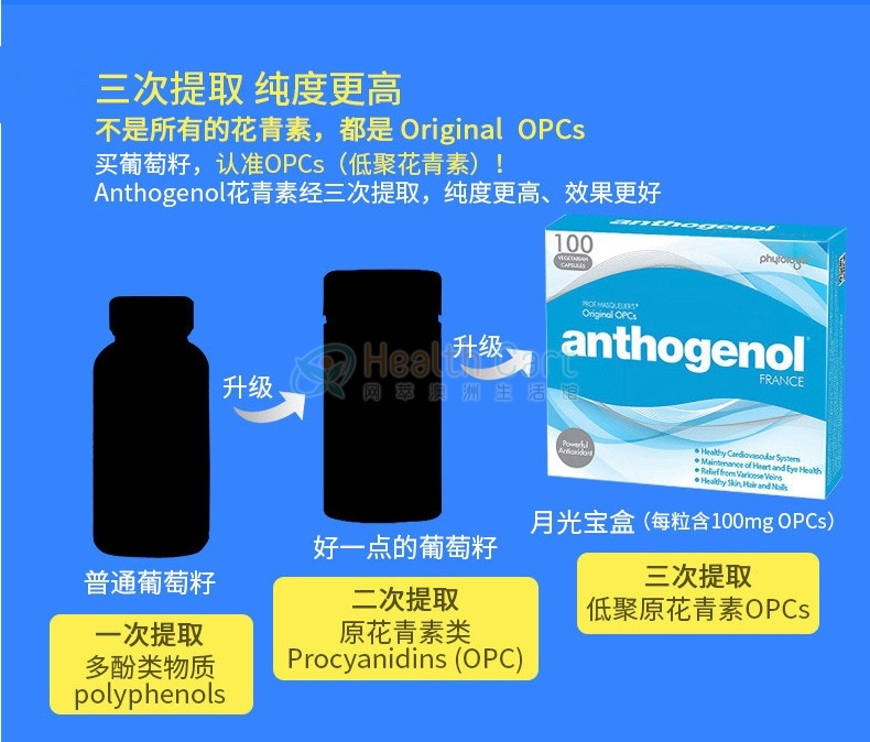 Anthogenol Capsules X 100 - @anthogenol capsules x 100 - 6 - Health Cart