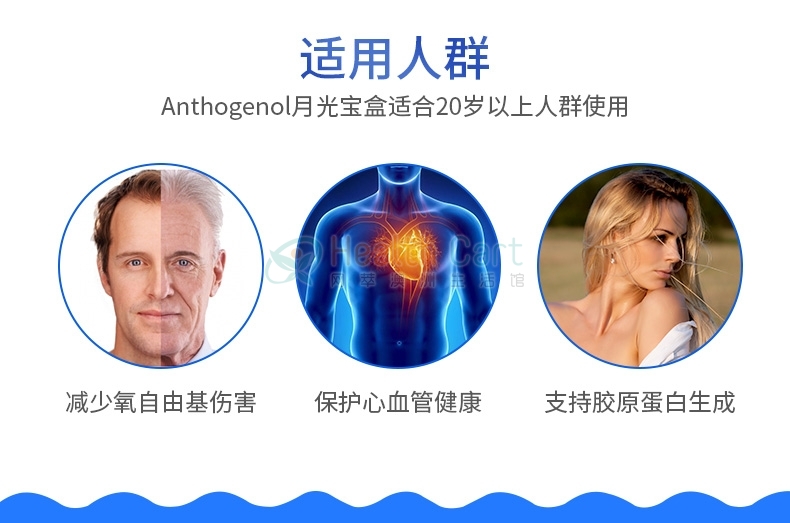 Anthogenol Capsules X 100 - @anthogenol capsules x 100 - 9 - Health Cart