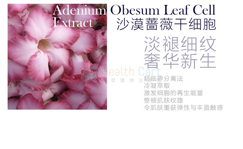 Chantelle香娜露儿植物干细胞反重力精华8ml*6修复肌肤 - @chantelle facial treatment serum 6 in 1 8ml 2018121823520 - 7 - Healthcart 网萃澳洲生活馆