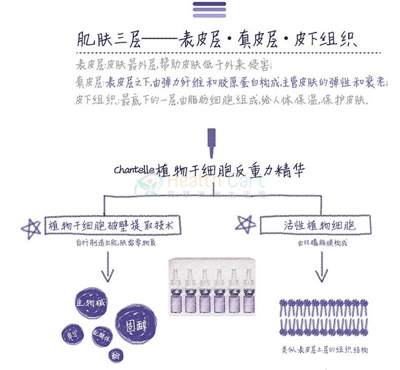 Chantelle香娜露儿植物干细胞反重力精华8ml*6修复肌肤 - @chantelle facial treatment serum 6 in 1 8ml 2018121823520 - 10 - Healthcart 网萃澳洲生活馆