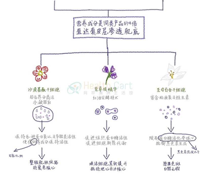 Chantelle香娜露儿植物干细胞反重力精华8ml*6修复肌肤 - @chantelle facial treatment serum 6 in 1 8ml 2018121823520 - 11 - Healthcart 网萃澳洲生活馆