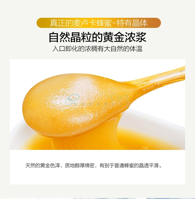 Comvita 康维他 纯天然 麦卢卡蜂蜜UMF15+ 250g(该产品不发西澳) - @comvita umf 15 manuka honey 250gnot for sale in wa - 15 - Healthcart 网萃澳洲生活馆