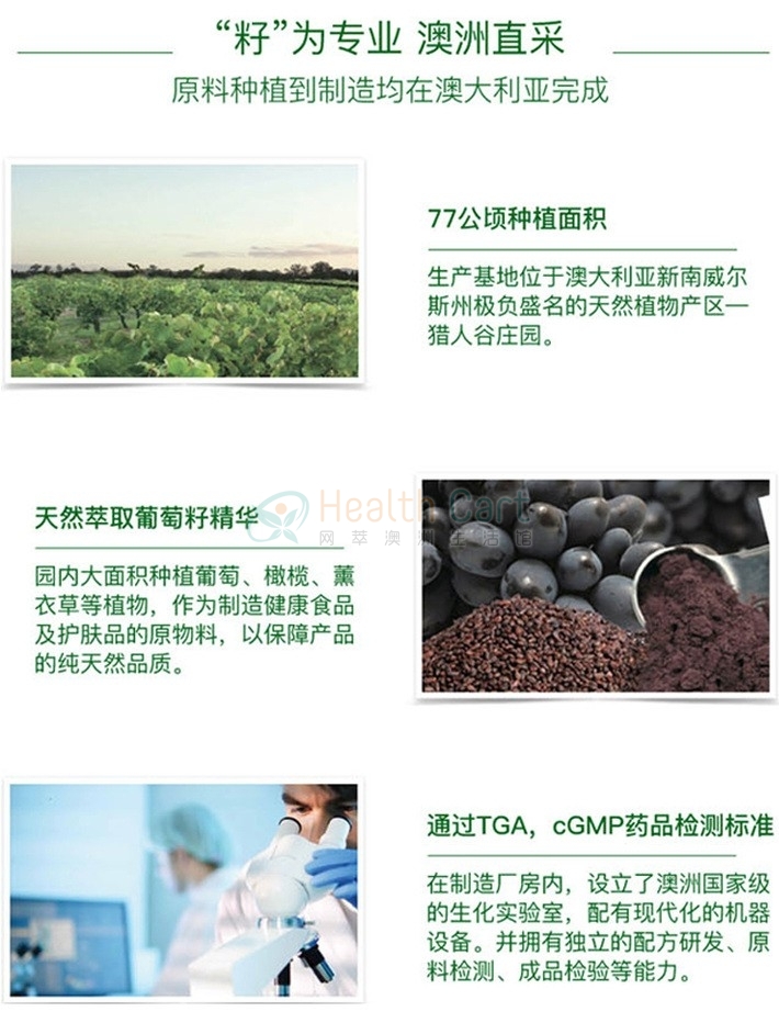 Healthy Care高浓缩58000葡萄籽胶囊 200粒 - @healthy care grape seed 58000 200 capsules - 13 - Healthcart 网萃澳洲生活馆