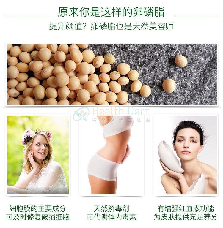 Healthy Care 大豆卵磷脂100粒 - @healthy care super lecithin 1200mg 100 capsules - 9 - Healthcart 网萃澳洲生活馆