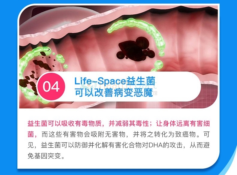 Life Space Broad Spectrum Probiotic 60 Capsules - @life space broad spectrum probiotic 60 capsules - 7 - Health Cart