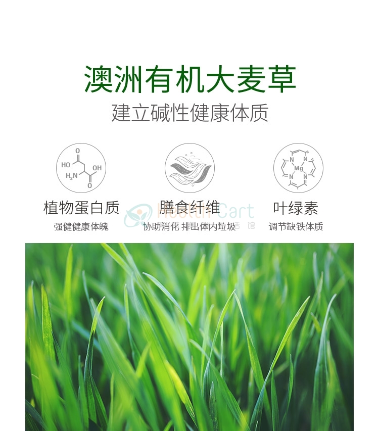 Melrose ORGANIC BARLEY GRASS POWDER 200g - @melrose organic barley grass powder 200g - 11 - Health Cart