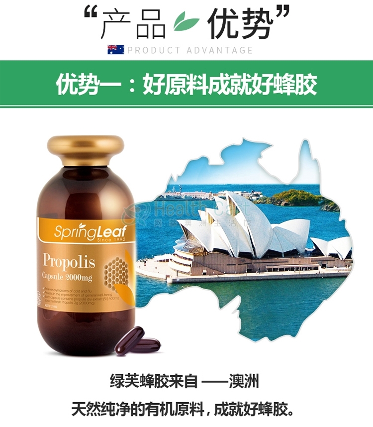 Spring Leaf 绿芙特级蜂胶胶囊 2000mg365粒 - @spring leaf premium propolis 2000mg 365c - 13 - Healthcart 网萃澳洲生活馆