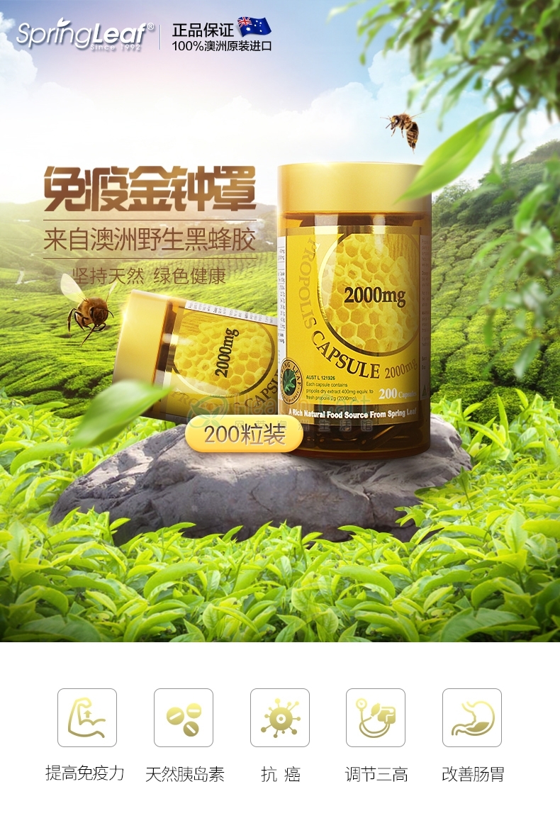 Spring Leaf 绿芙 黑蜂胶软胶囊2000mg - @spring leaf propolis 2000mg cap - 30 - Healthcart 网萃澳洲生活馆