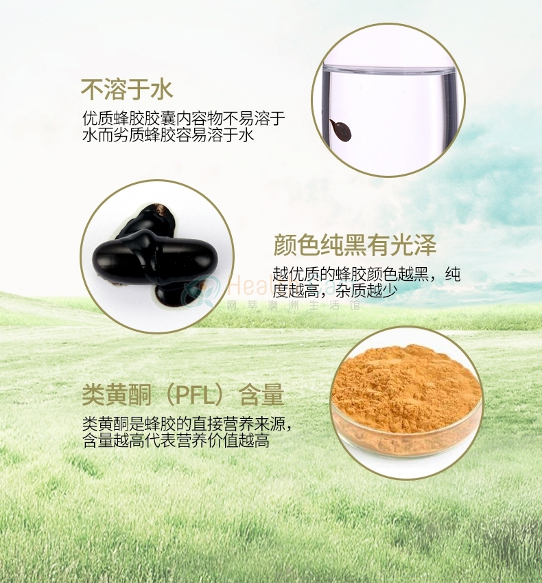 Spring Leaf 绿芙 黑蜂胶软胶囊2000mg - @spring leaf propolis 2000mg cap - 38 - Healthcart 网萃澳洲生活馆