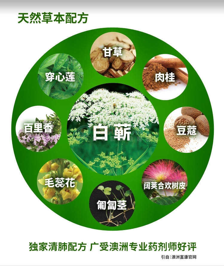 Wealthy Health澳洲进口清肺灵60粒 防雾霾清肺宝 - @wealthy healthpm   lung support - 5 - Healthcart 网萃澳洲生活馆